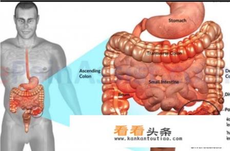 经常放屁是直肠癌的前兆吗 经常放屁是直肠癌的前兆吗