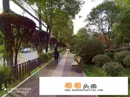 到什么地方旅游价格最便宜
