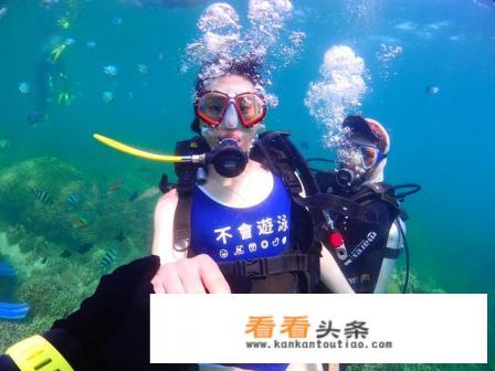 芽庄的潜水胜地有哪些