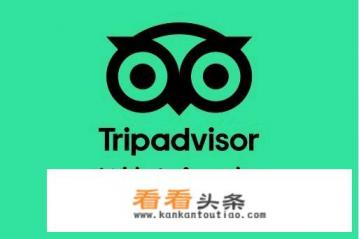 带有猫头鹰的标志是什么app