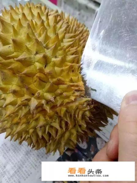 怎么挑选肉多的榴莲