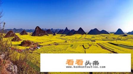 云南罗平有些什么景点