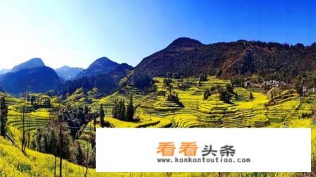 云南罗平有些什么景点
