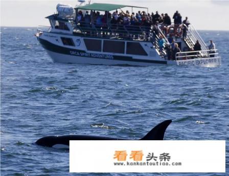 我想去加拿大旅游,不想跟团,自由行可以去吗 我想去加拿大旅游,不想跟团,自由行可以去吗