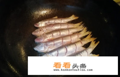 红烧清江鱼炖豆腐的做法