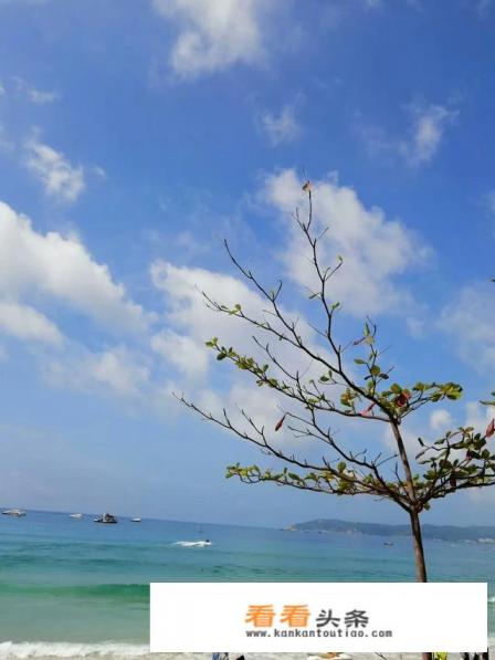 中国冬天去哪里旅游比较好