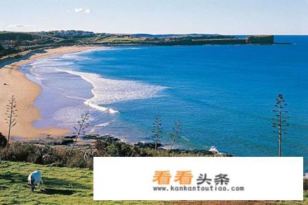 澳大利亚有哪些旅游胜地 澳大利亚有哪些旅游胜地
