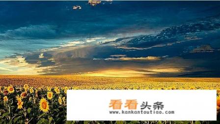 去新疆旅游几月份最好
