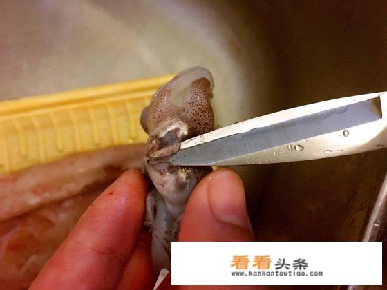 鱿鱼怎么处理