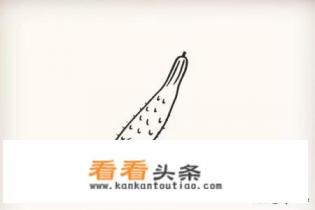 少儿蔬菜简笔画黄瓜怎么画