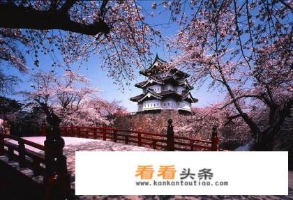 什么是网络旅游