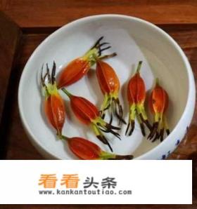 黄栀子如何熬成水