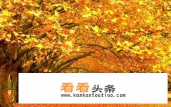 2021立秋后还热吗 2021立秋后还热吗