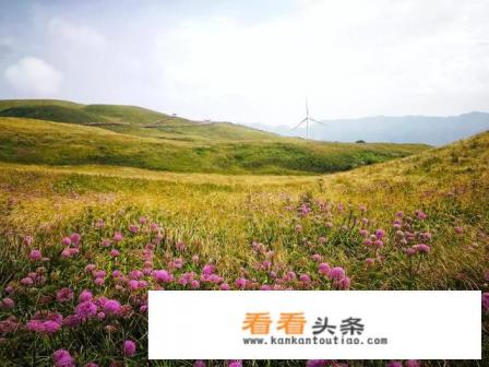 父母没出过远门,10月份想带父母出去旅游,建议去哪里好一点 父母没出过远门,10月份想带父母出去旅游,建议去哪里好一点