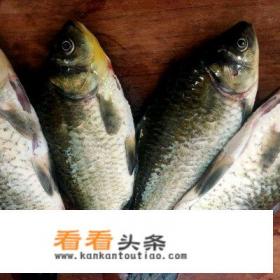 酸菜鲫鱼正宗川菜做法 酸菜鲫鱼正宗川菜做法