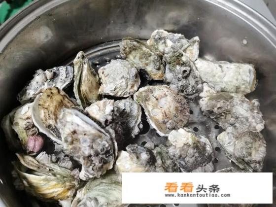 生蚝清蒸怎么做 生蚝清蒸怎么做