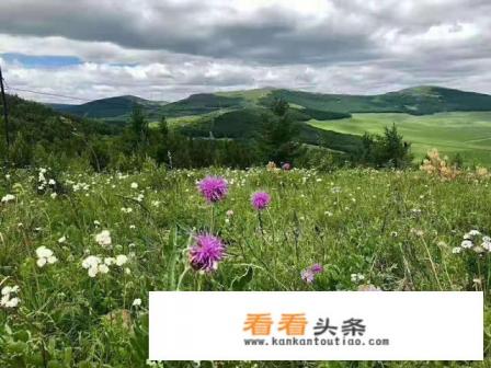 求呼和浩特两日游旅游攻略 求呼和浩特两日游旅游攻略