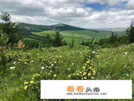 求呼和浩特两日游旅游攻略 求呼和浩特两日游旅游攻略