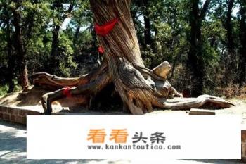 吕梁附近有没有适合短时间玩的景点 吕梁附近有没有适合短时间玩的景点