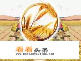 芒种节气,芒种是什么意思,芒种代表什么 芒种节气,芒种是什么意思,芒种代表什么