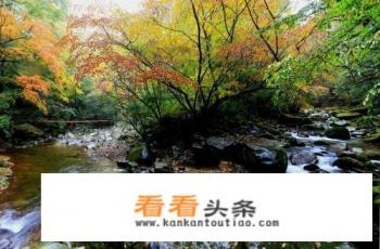 四川有哪些环境优美条件好的度假村 四川有哪些环境优美条件好的度假村