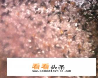 一碗杂粮干饭的热量