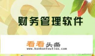 购买的财务软件怎么入账 购买的财务软件怎么入账