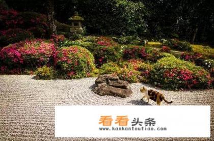 日本哪几个城市值得游览