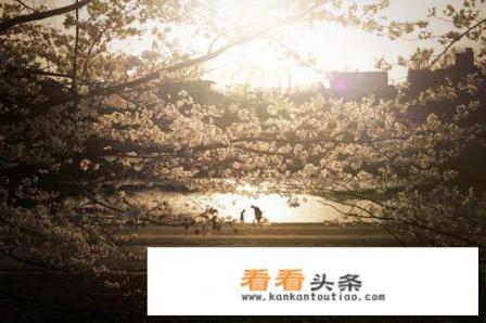 日本哪几个城市值得游览