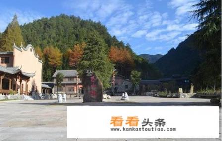 庆元县城有什么景点