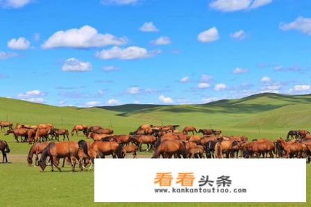 十一适合去内蒙大草原吗 十一适合去内蒙大草原吗