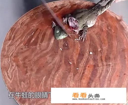 牛蛙怎么处理 牛蛙怎么处理