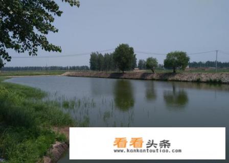 螃蟹怎样养