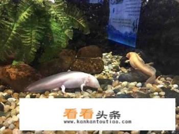 长兴旅游景点有哪些不要门票的