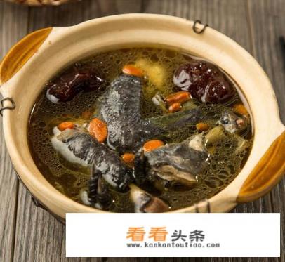 黑乌鸡怎么炖汤 黑乌鸡怎么炖汤