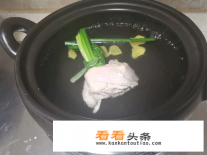 清鸡汤怎么炖好喝又营养补气血 清鸡汤怎么炖好喝又营养补气血