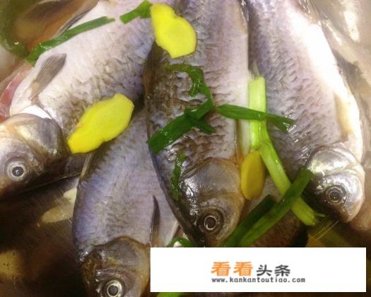 简阳羊肉汤绝密商用配方 简阳羊肉汤绝密商用配方
