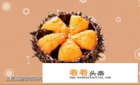 海胆怎么处理 海胆怎么处理