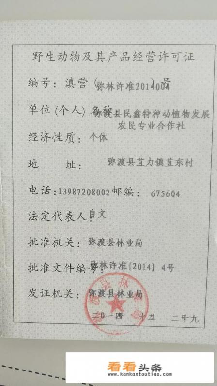 如何养殖山鸡 如何养殖山鸡