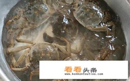怎样把螃蟹洗干净 怎样把螃蟹洗干净