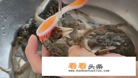 怎样把螃蟹洗干净 怎样把螃蟹洗干净