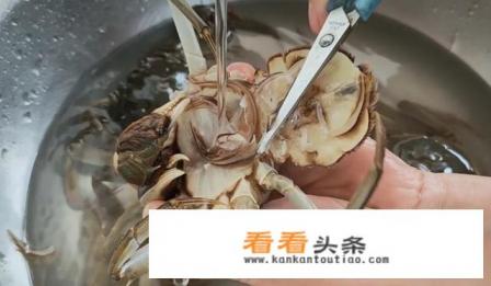 怎样把螃蟹洗干净 怎样把螃蟹洗干净