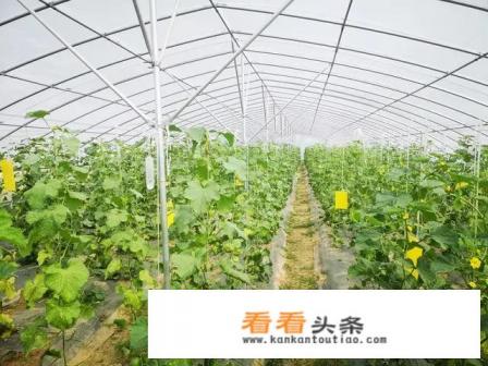 河南的旅游业为什么不景气 河南的旅游业为什么不景气