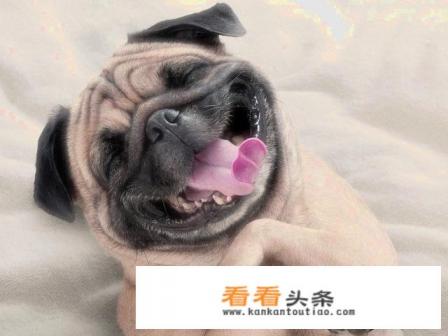 9月28在国外是什么节日 9月28在国外是什么节日