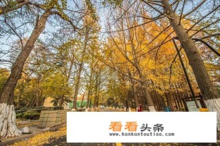 请问,11月还适合去青岛旅游吗 请问,11月还适合去青岛旅游吗