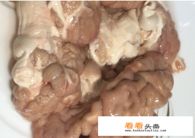 牛脑怎么做好吃 牛脑怎么做好吃