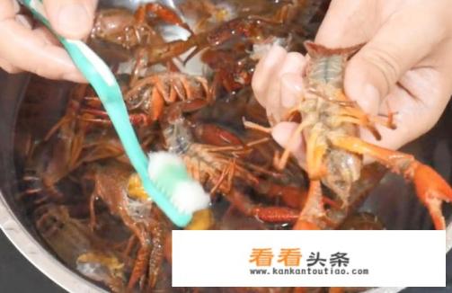 怎样洗小龙虾又快又干净 怎样洗小龙虾又快又干净