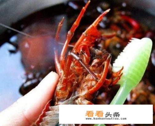 怎样洗小龙虾又快又干净 怎样洗小龙虾又快又干净