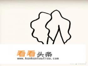 白菜简笔画怎么画