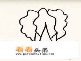 白菜简笔画怎么画